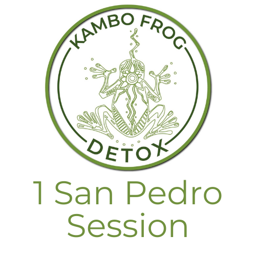 San Pedro Event May 2021 Kambo Frog Detox